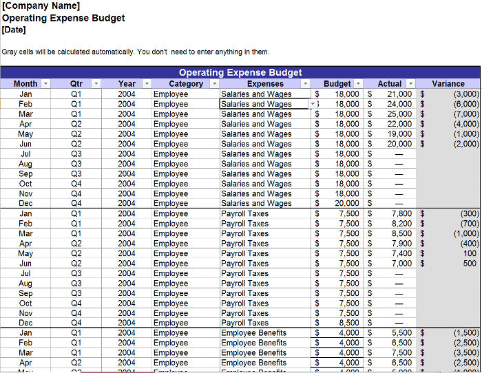 Annual Operating Budget for Small Businesses Annual Operating Budget for Small Businesses